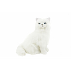 White Persian Plush Cat Sitting